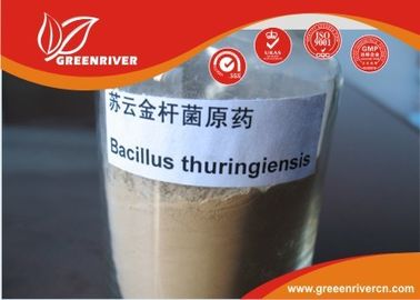 China Bacilo branco insecticida do pó do thuringiensis para o controle lepidóptero das larvas fornecedor